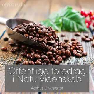 Трансляция из Орхусского университета: Кофе