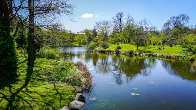 Botanisk Have igennem mere end 150 år — Botanisk Have, København