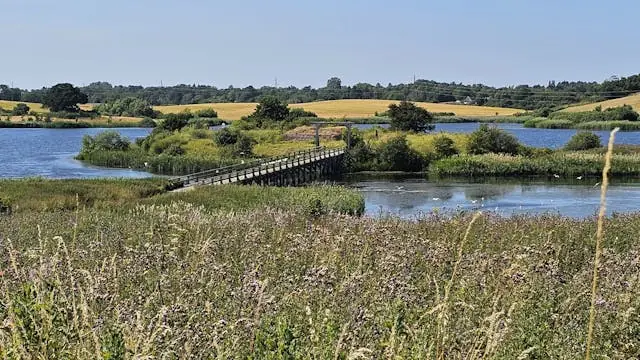 Grønnehave Forest, Næsholm Ruins and Ringholm, 20 km — P-plads på Nykøbing Sjælland Havn, Nykøbing Sjælland