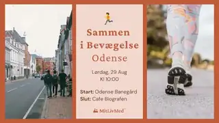 Bipolar Sammen i Bevægelse - Odense