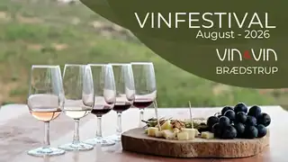 Vin & Vin Festival 2026