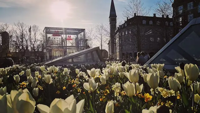 Bæredygtigt Loppemarked på Enghave Plads — Enghave Plads ved metroen under træerne, København