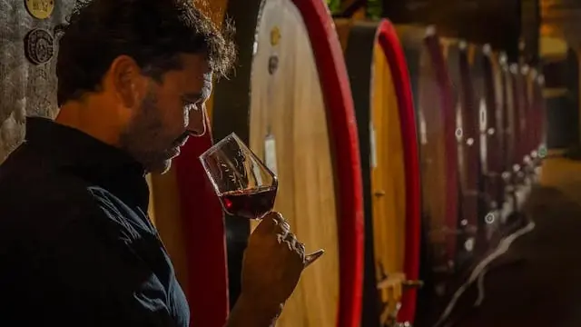 Barolo Vinsmagning — Alverdens Vine ApS, Farum