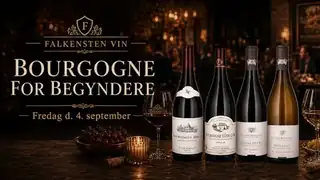 Bourgogne for begyndere