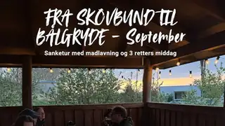 Foraging & 3-Course Menu over Bonfire in Gribskov