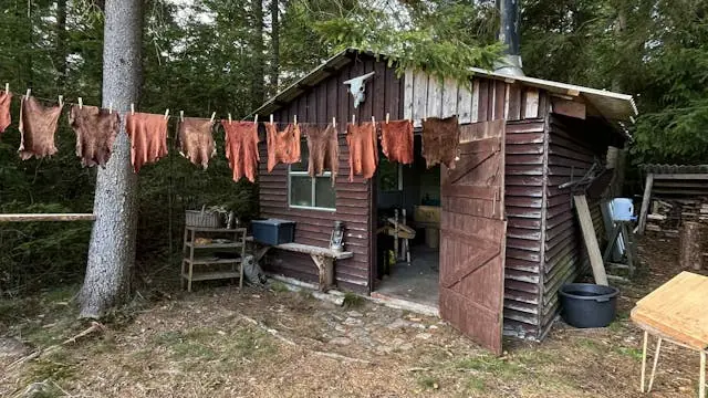 Barkgarvning - lav dit eget læder — Nørå, Bramming
