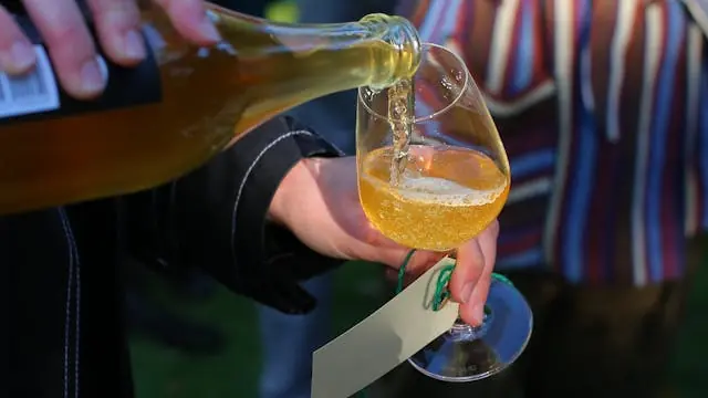 Botanik og øl – en rundvisning med ølsmagning i Botanisk Have — Botanisk Have, København
