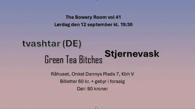 The Bowery Room vol 41 - tvashtar + Stjernevask + Green Tea Bitches — Råhuset, København