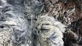 Nature's Craft: Wool Felting a Seat Cushion