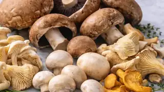Taste the Season: Mushrooms | Aarhus