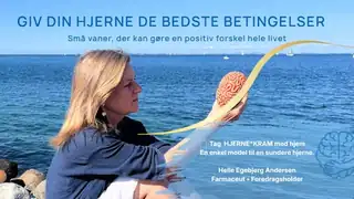 Giv din hjerne de bedste betingelser