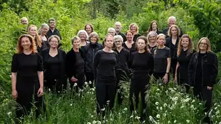 Naturkoncert i Naturpark Amager