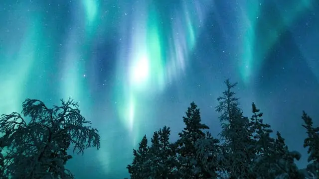 Det magiske nordlys / Planetarieshow LIVE — Det magiske nordlys / Planetarieshow LIVE, København