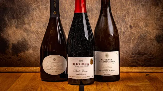 Coteaux Champenois Wine Tasting — The Vault, Copenhagen