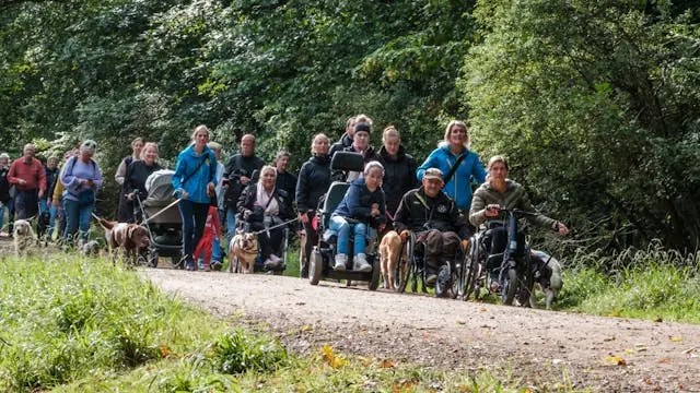 STH - Служебные собаки для инвалидов Dog-A-Thon суббота, 19 сентября 2026 года в парке Mindeparken, Орхус — Donbækhavens parkeringsplads, Niels W. Gades Vej, Орхус