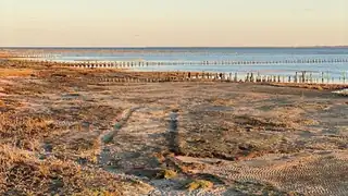 Ø-vandring på Mandø