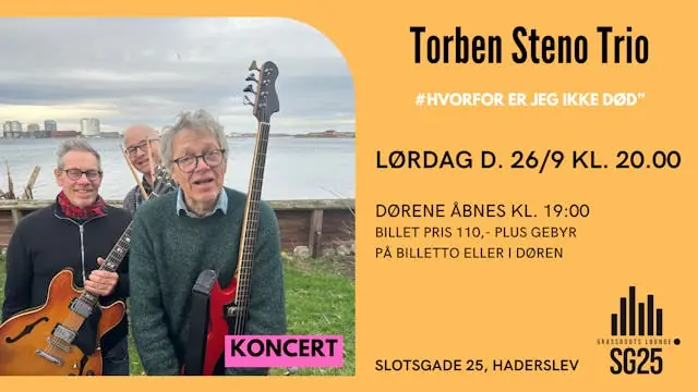 Torben Steno Trio — SG25, Haderslev