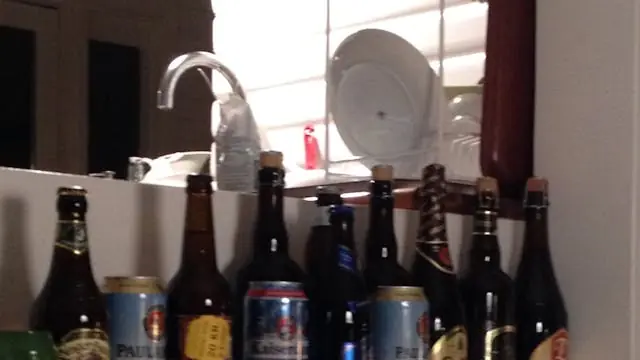 Københavnske beværtninger og drikkekultur fra middelalderen til i dag. — København