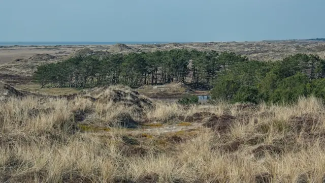 Island walk on Fanø — Fanø