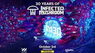 Infected Mushroom – 30th Anniversary Tour