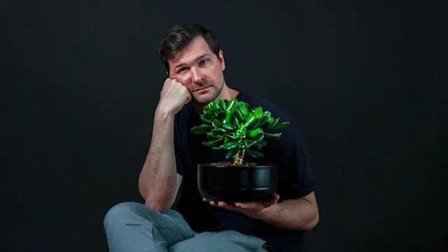 Patrick Haunberg: Pengetræ — ICC Theatre, København