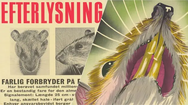 Rats and the City - Rat Control, Welfare and Everyday Life in 20th-Century Copenhagen — Hovedkassen, Københavns Rådhus, Copenhagen