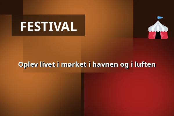 Oplev livet i mørket i havnen og i luften — København