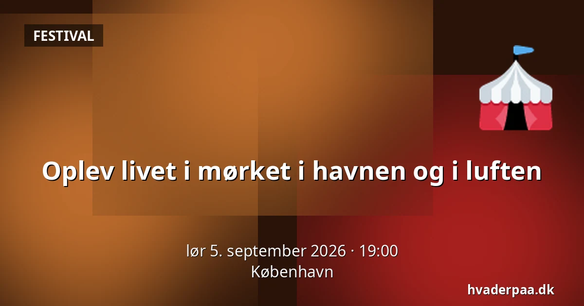 Oplev livet i mørket i havnen og i luften — København
