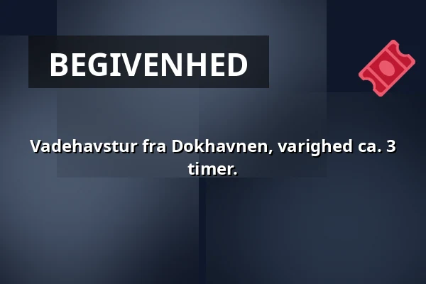 Vadehavstur fra Dokhavnen, varighed ca. 3 timer. · Dokhavnen Esbjerg, Esbjerg