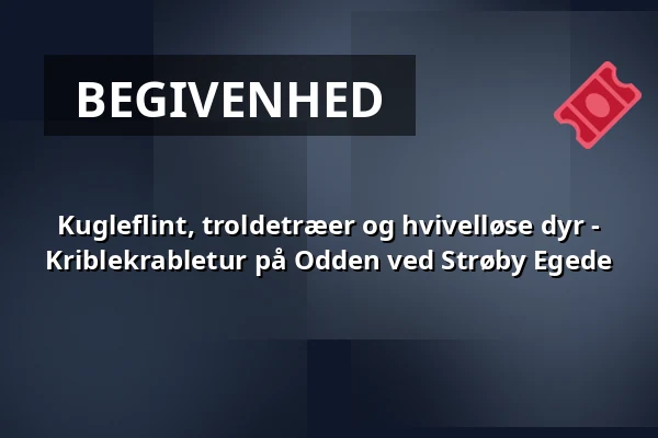 Kugleflint, troldetræer og hvivelløse dyr - Kriblekrabletur på Odden ved Strøby Egede · Køge