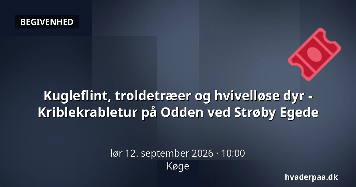 Kugleflint, troldetræer og hvivelløse dyr - Kriblekrabletur på Odden ved Strøby Egede · Køge