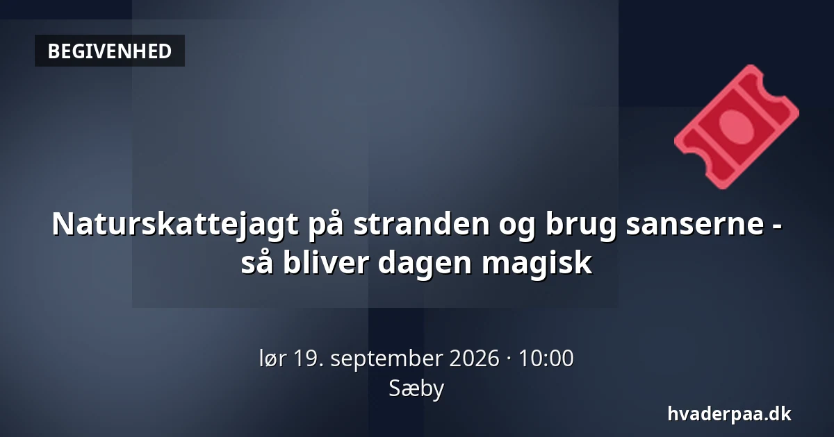 Naturskattejagt på stranden og brug sanserne - så bliver dagen magisk · Sæby