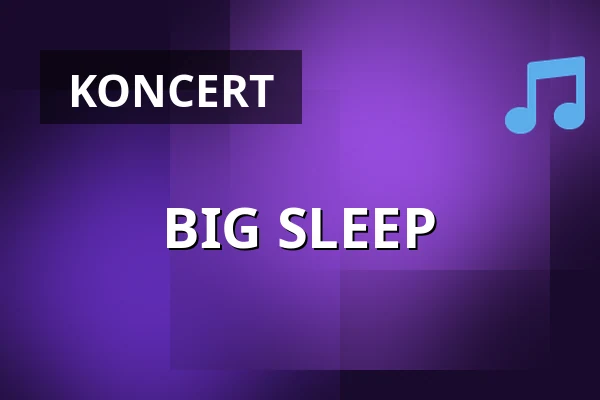 BIG SLEEP — Musik Loppen, København