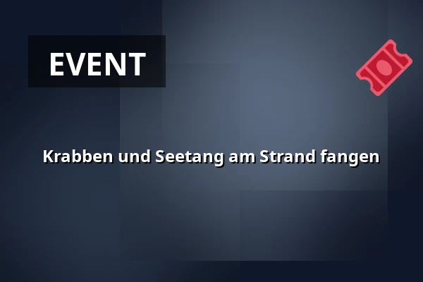 Krabben und Seetang am Strand fangen — Hornslet