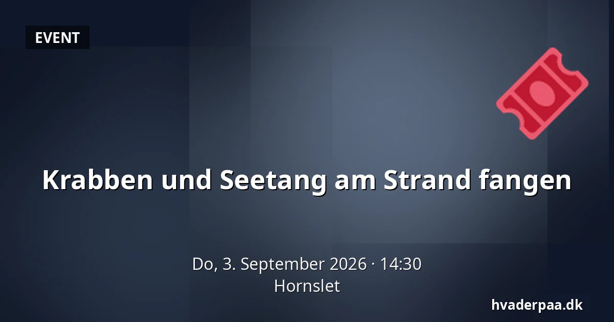 Krabben und Seetang am Strand fangen — Hornslet