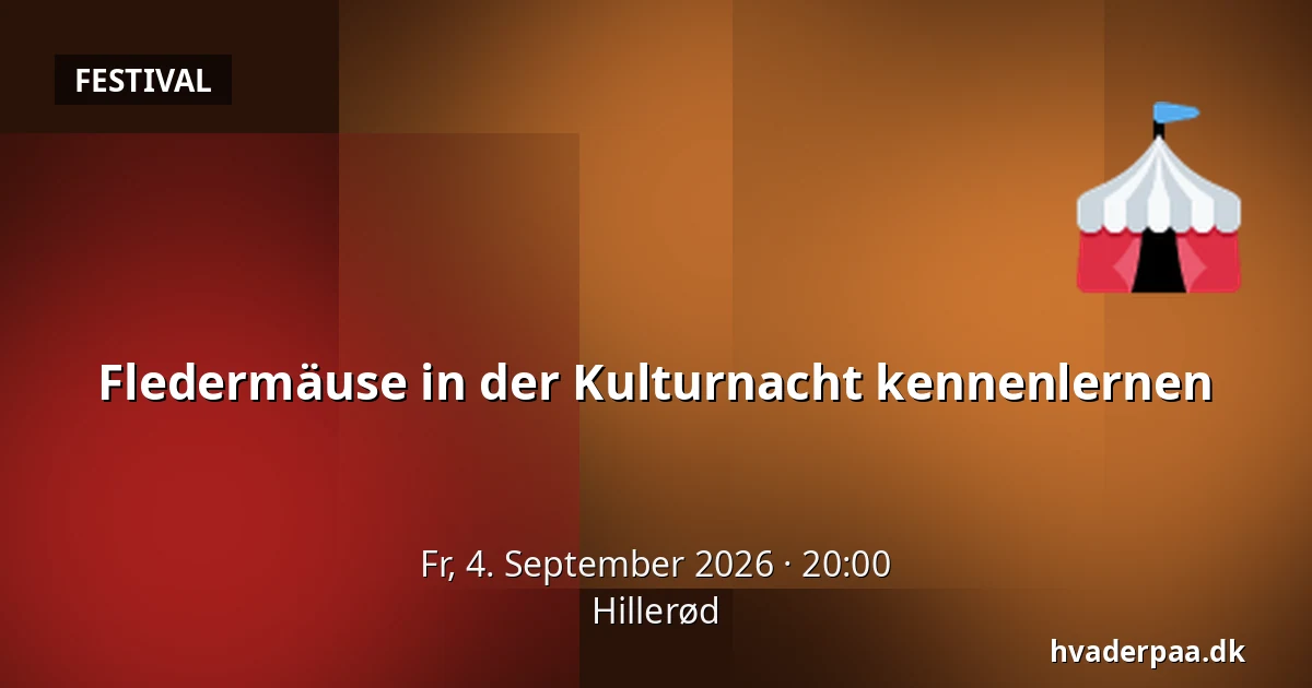 Fledermäuse in der Kulturnacht kennenlernen — Hillerød