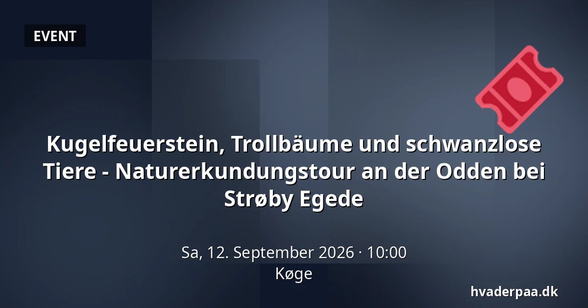 Kugelfeuerstein, Trollbäume und schwanzlose Tiere - Naturerkundungstour an der Odden bei Strøby Egede · Køge