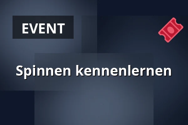 Spinnen kennenlernen · Vemb