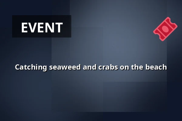 Catching seaweed and crabs on the beach — Hornslet
