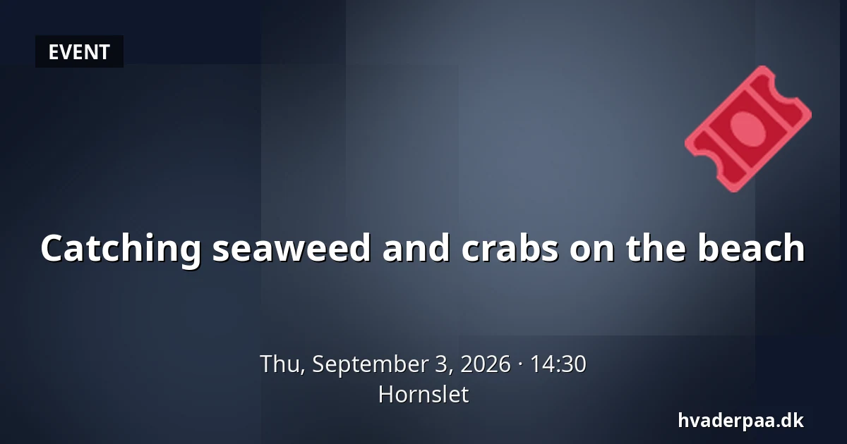 Catching seaweed and crabs on the beach — Hornslet