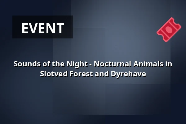Sounds of the Night - Nocturnal Animals in Slotved Forest and Dyrehave — Kræmmerens Hus, Sindal