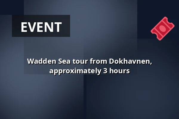 Wadden Sea tour from Dokhavnen, approximately 3 hours · Dokhavnen Esbjerg, Esbjerg