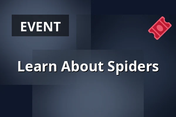 Learn About Spiders · Vemb
