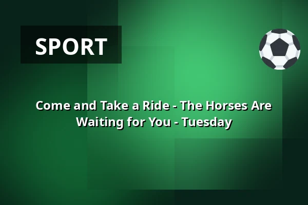 Come and Take a Ride - The Horses Are Waiting for You - Tuesday · Viborg Rideklub, Viborg