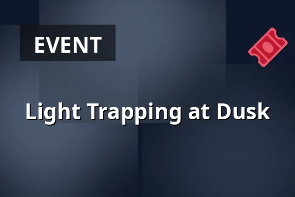 Light Trapping at Dusk · Nørager