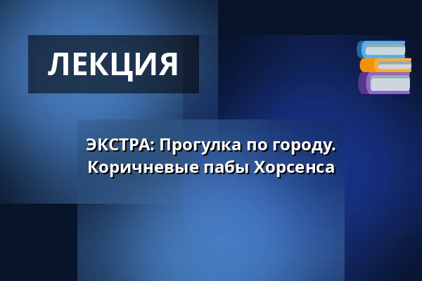 ЭКСТРА: Прогулка по городу. Коричневые пабы Хорсенса — Vitus Berings Torv, ved Jessensgade 1, Хорсенс