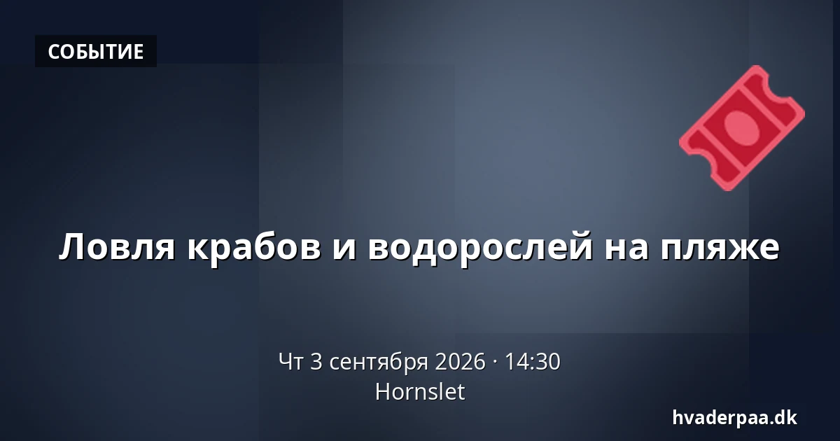 Ловля крабов и водорослей на пляже — Hornslet