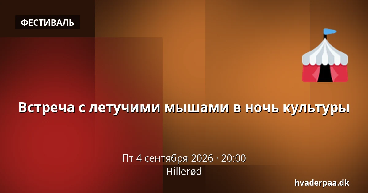 Встреча с летучими мышами в ночь культуры — Хиллерёд