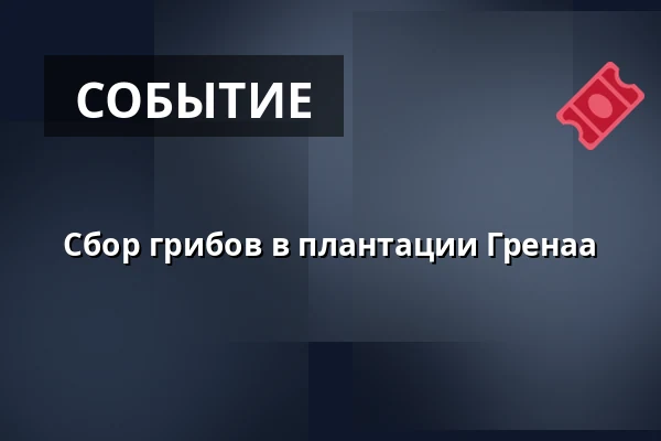 Сбор грибов в плантации Гренаа — Гренаа