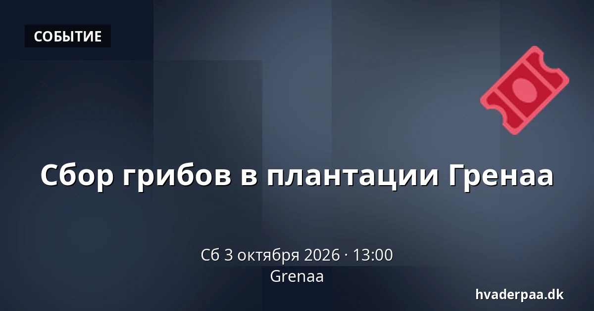 Сбор грибов в плантации Гренаа — Гренаа